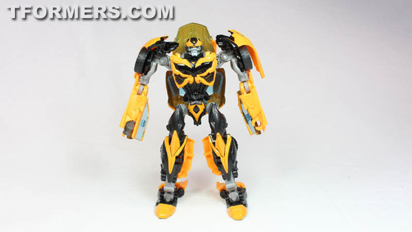 Video Review And Images Bumblebee Evolutions Two Pack Transformers 4 Age Of Extinction Figures  (22 of 48)